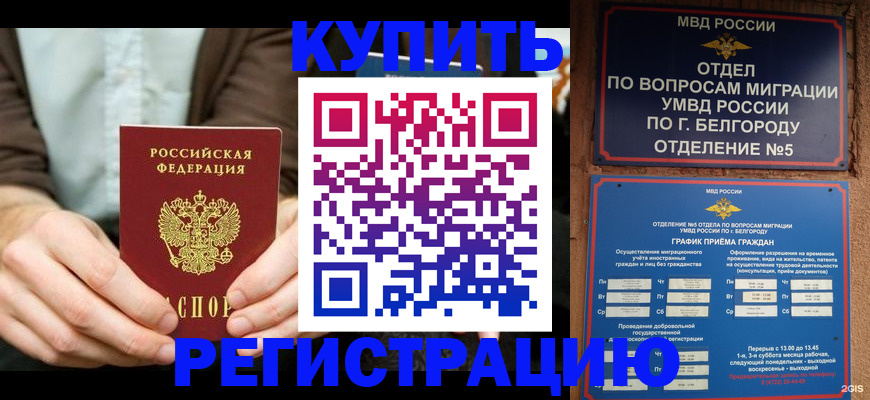прописка 2025 в Железногорске